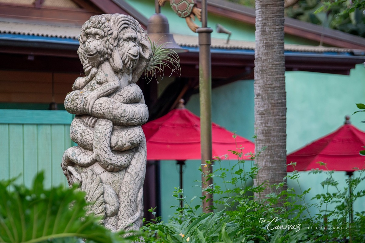 Disney Animal Kingdom portrait photographers, get family pics taken at Animal Kingdom Orlando