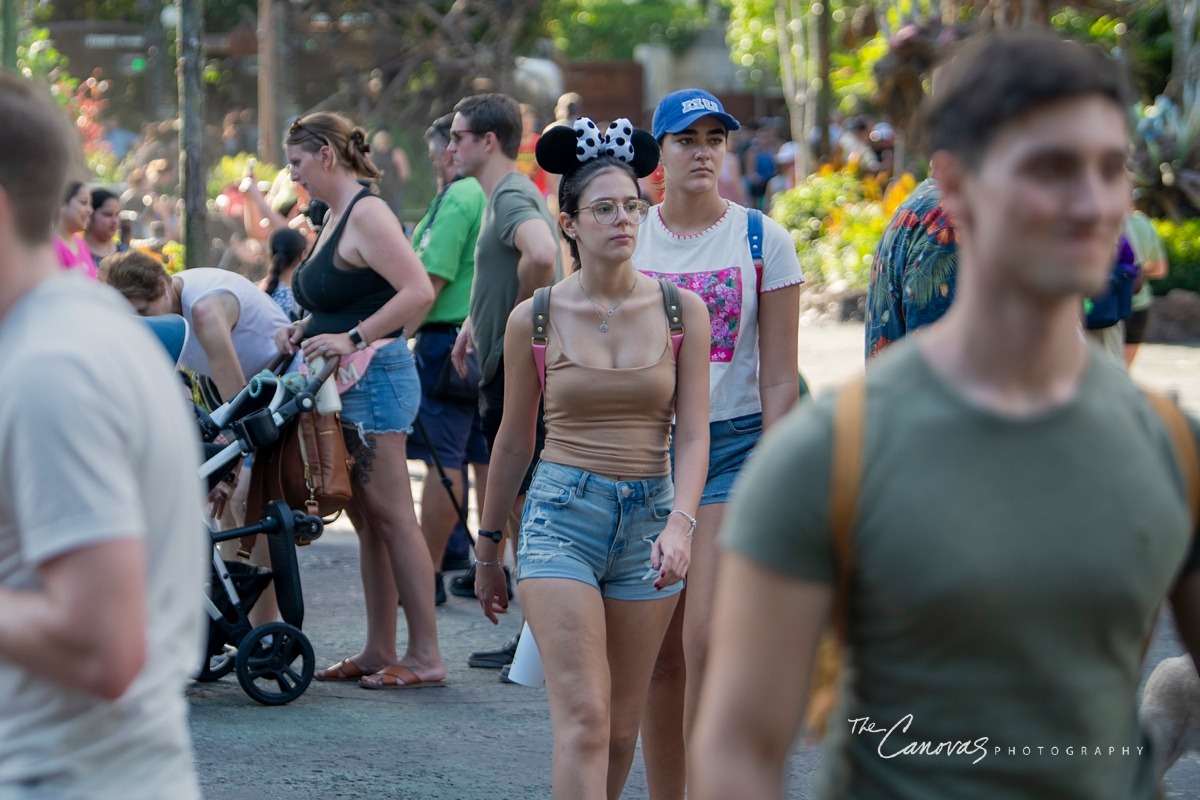 Disney Animal Kingdom portrait photographers, get family pics taken at Animal Kingdom Orlando