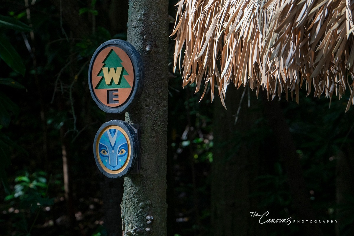 Disney Animal Kingdom portrait photographers, get family pics taken at Animal Kingdom Orlando