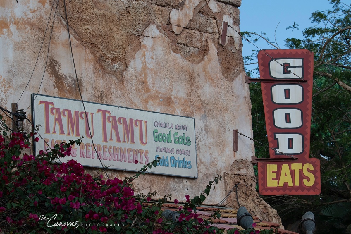 Disney Animal Kingdom portrait photographers, get family pics taken at Animal Kingdom Orlando