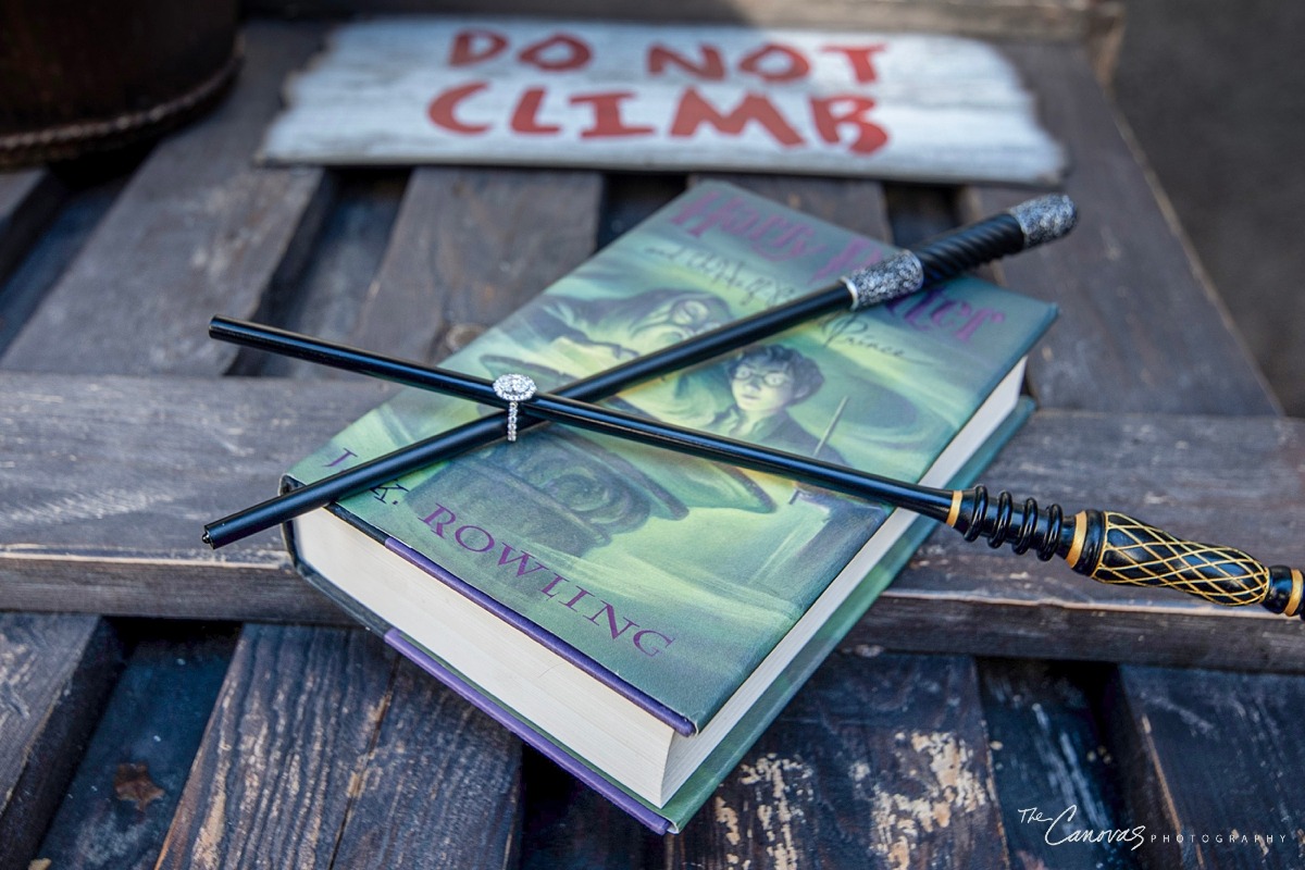 Universal Studio Engagement Session | The Canovas Photography