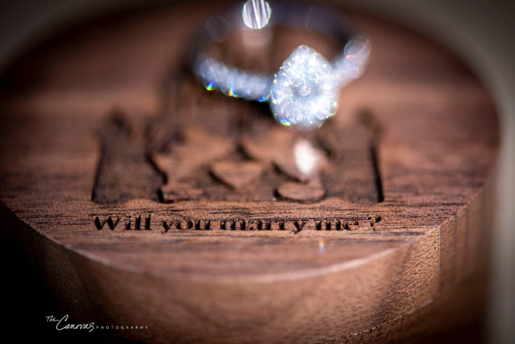 Magic Kingdom proposal at Cinderella's Wishing Well photographed by Canovas Photography, magic kingdom proposal photographer, get engaged at Magic Kingdom, engagement photographer Disney World