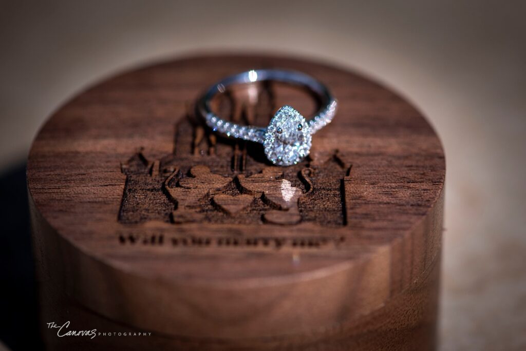 Magic Kingdom proposal at Cinderella's Wishing Well photographed by Canovas Photography, magic kingdom proposal photographer, get engaged at Magic Kingdom, engagement photographer Disney World