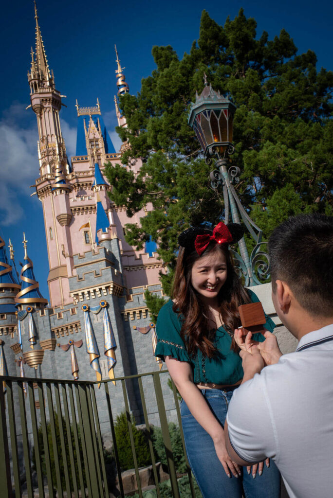 disney proposal photographer, private disney world engagement photographer, disney World engagement photography