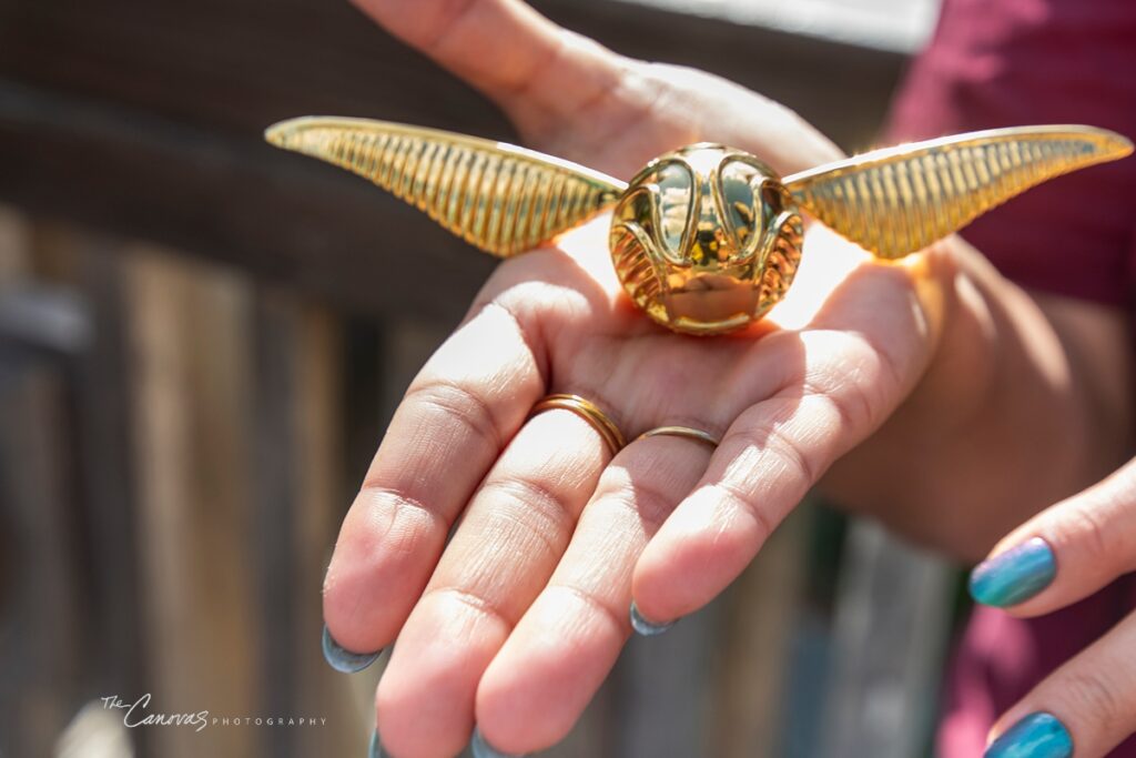 universal studios proposal photographer, Universal studios proposal photographer ideas, Universal Studios photoshoot. engagement session Universal Studios