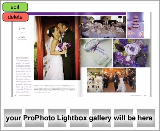 Professional Photographers in Orlando