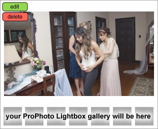 wedding photography in orlando fl