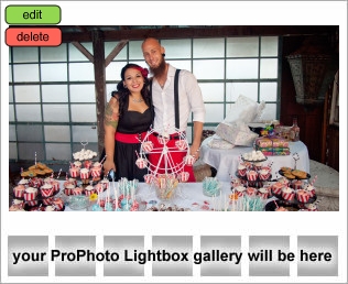 Orlando Wedding Photographers