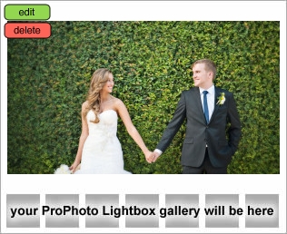 wedding photographers in orlando area
